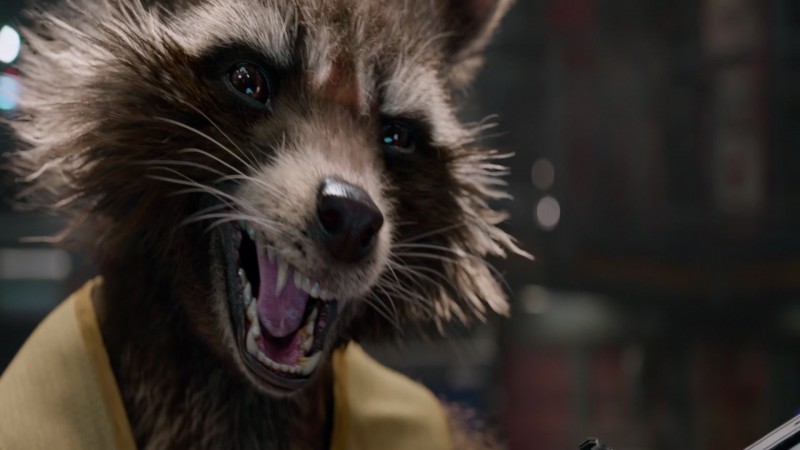 the rocket raccoon form guardians of the galaxy movie